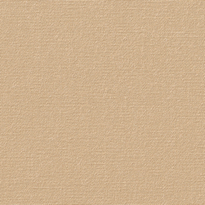 Sunlit Grain